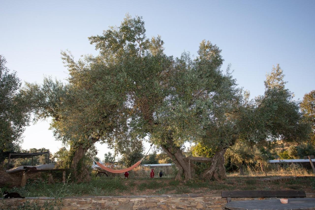 Monte Dos Vicentes Herdade Da Yucca Terena المظهر الخارجي الصورة