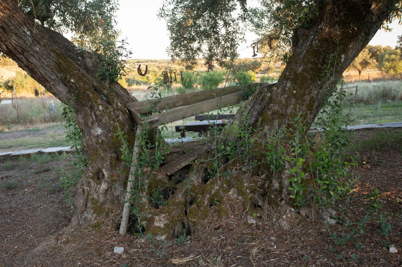 Monte Dos Vicentes Herdade Da Yucca Terena المظهر الخارجي الصورة