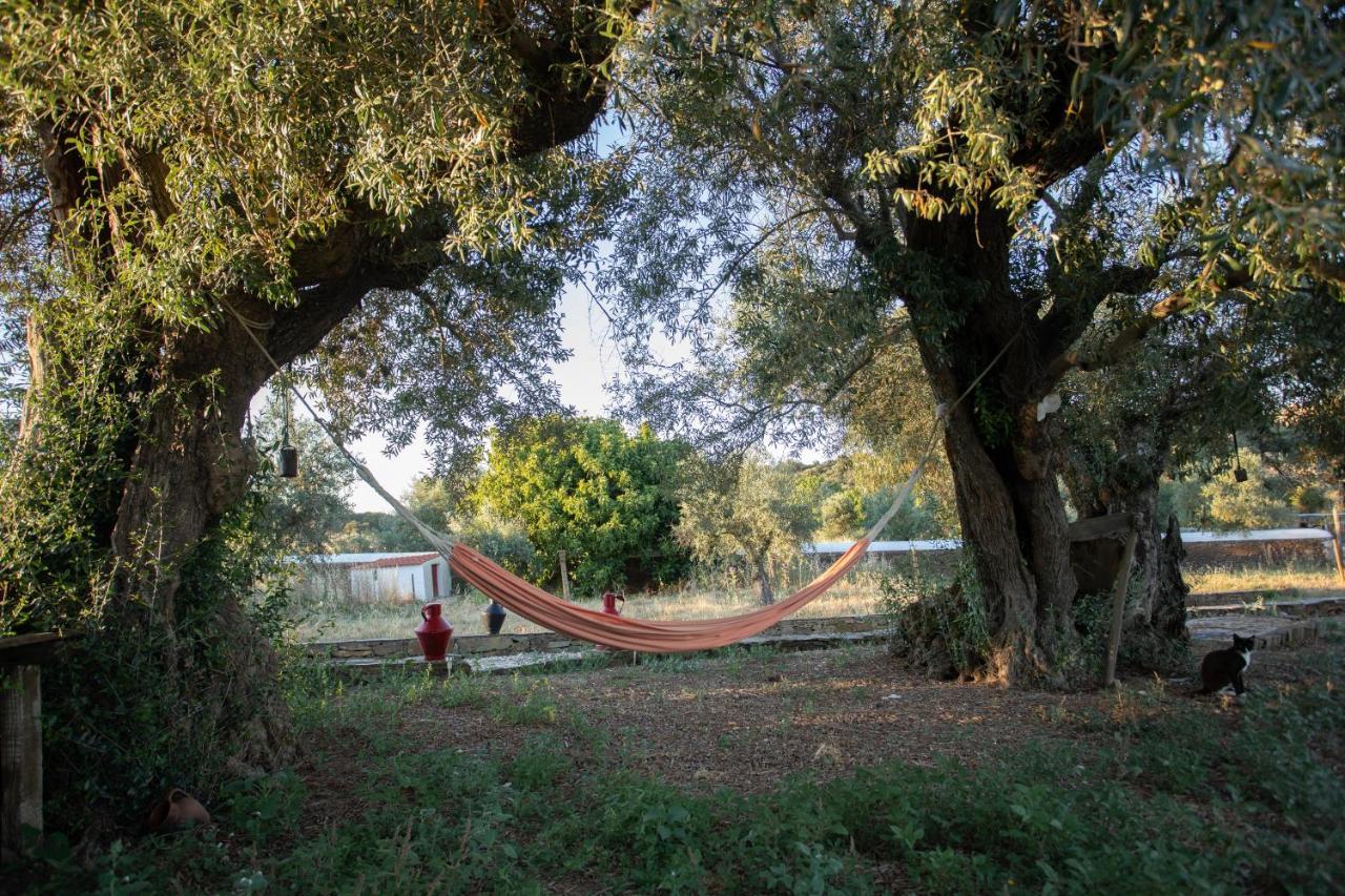 Monte Dos Vicentes Herdade Da Yucca Terena المظهر الخارجي الصورة
